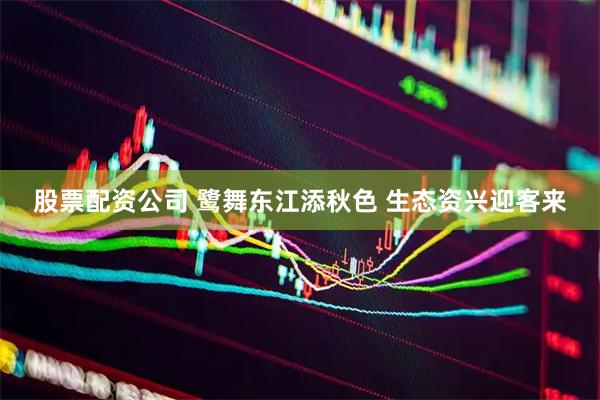 股票配资公司 鹭舞东江添秋色 生态资兴迎客来
